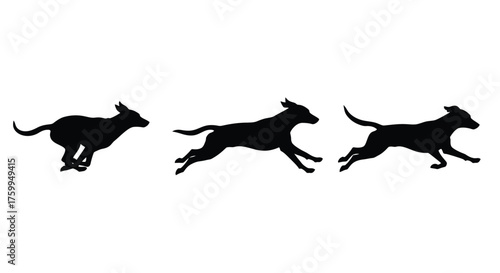 A sequence depicting a dog running showing movement and progression