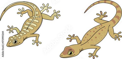 Two stylized black gecko silhouettes are depicted against a plain white background. The gecko on the left is positioned slightly diagonally, with its head and front legs turned to the viewer's left, a