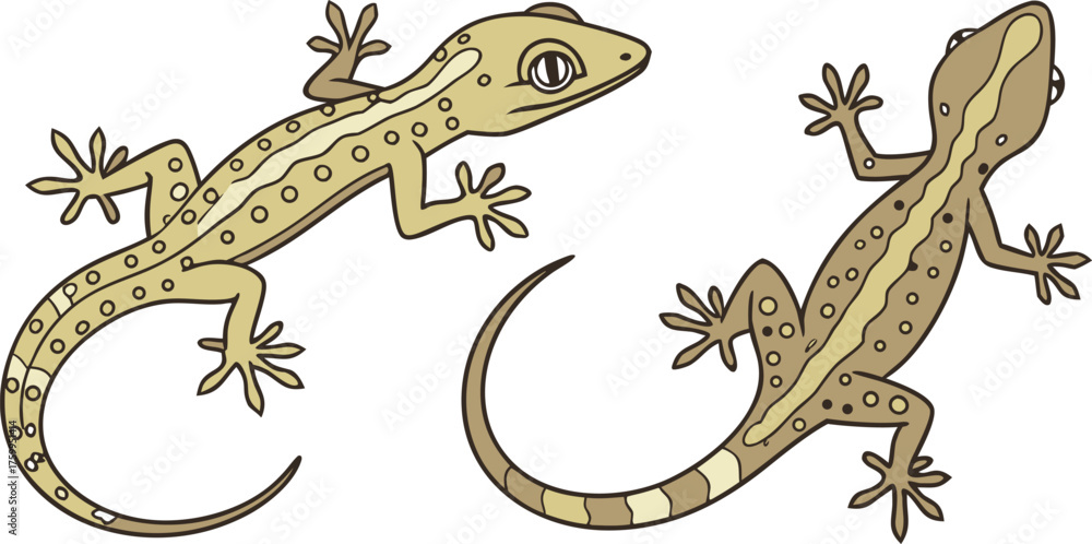 Naklejka premium Two stylized black gecko silhouettes are depicted against a plain white background. The gecko on the left is positioned slightly diagonally, with its head and front legs turned to the viewer's left, a