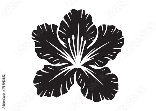 Azalea flower icon, Azalea flower solid vector