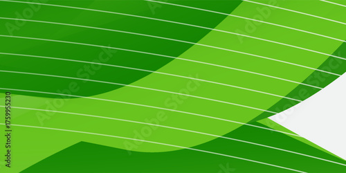 Abstract White and Green wave wide background banner modern art nice simple