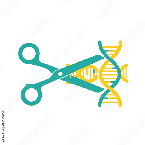 Scissors cutting a DNA strand, symbolizing genetic modification.
