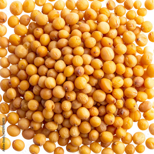 Close-up top-down shot of a large pile of small, round, mustard-colored seeds
