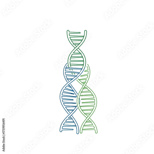 Two intertwined DNA strands, one blue, one green.