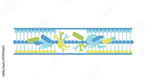 Abstract representation of molecules interacting within a biological membrane structure.
