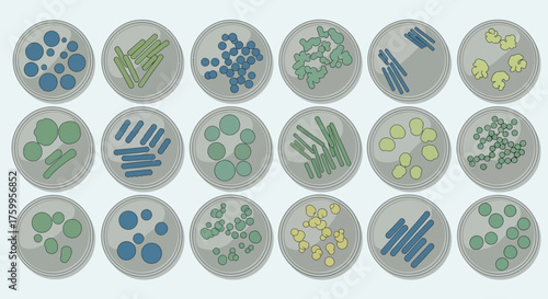 Petri dishes containing various colorful bacterial colonies and cultures.