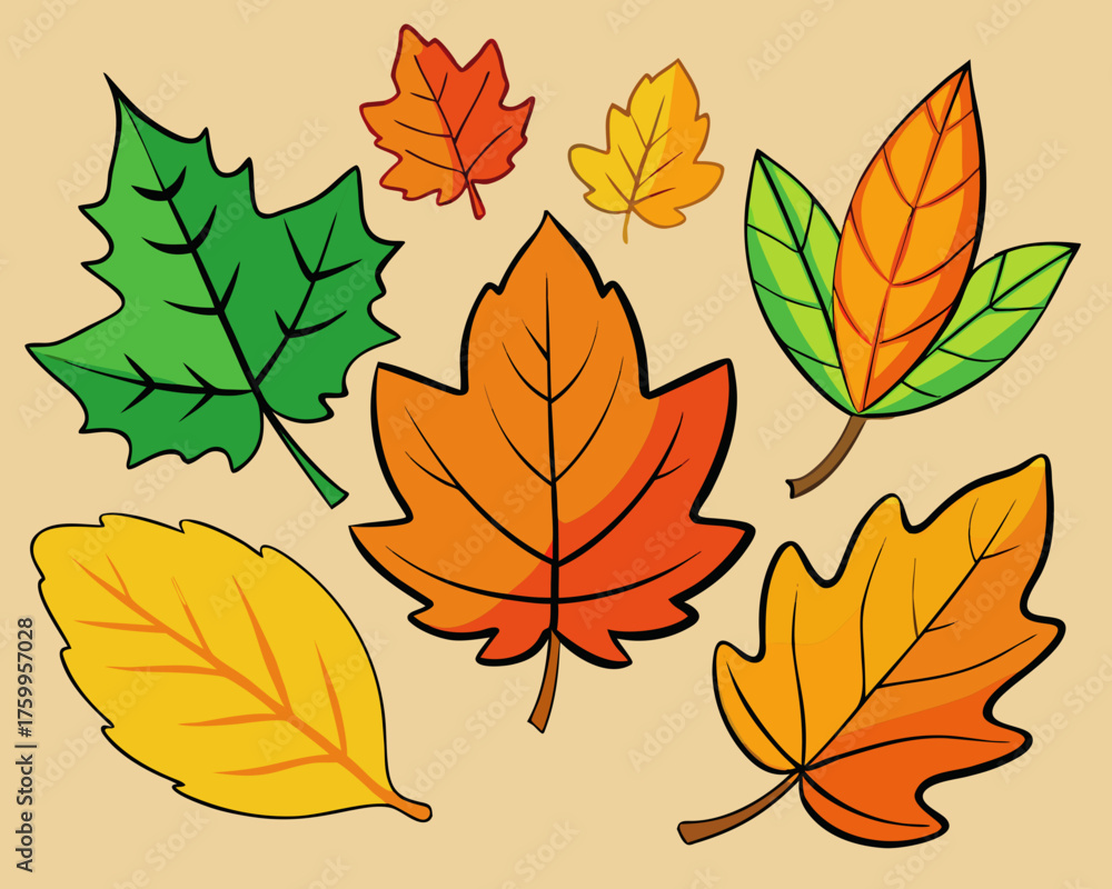Fototapeta premium autumn leaves vector