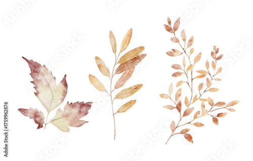 Watercolor Illustration set of Botanical Element autumn leaves. Cozy autumn design. Whimsical vintage element in cottagecore style for invitation, social media and posters.