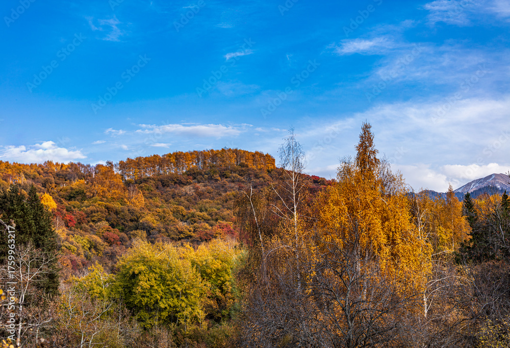 Fototapeta premium autumn landscape in the mountains