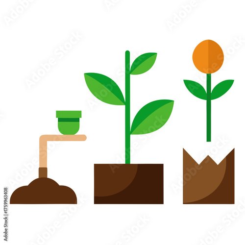 Planting process vector illustration shows growth stages digging seedling to flower isolated on white background