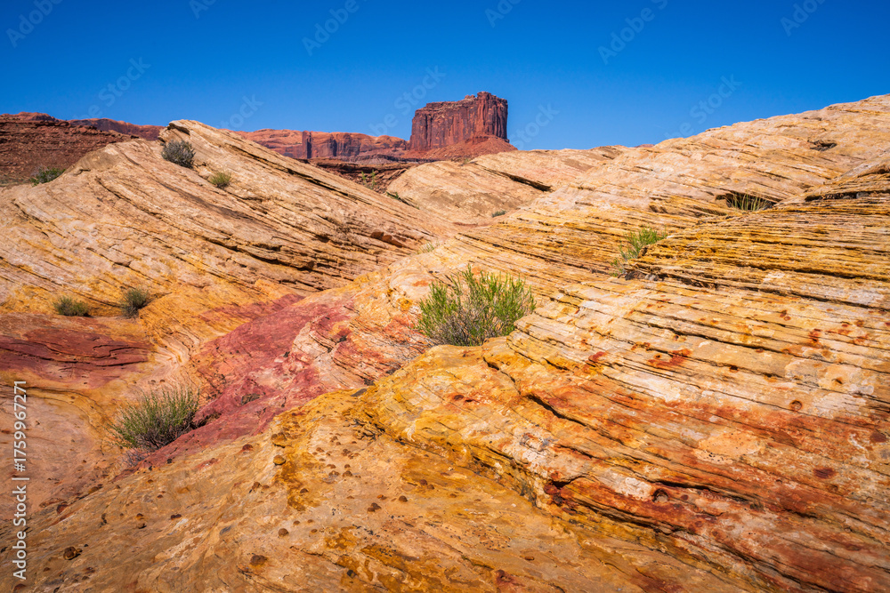 Fototapeta premium hiking the wilhite trail near moab in canyonlands island in the sky in utah, usa
