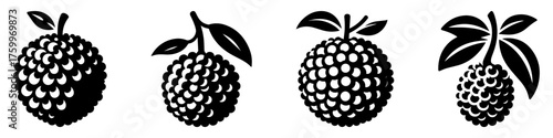 Black and white illustration of four lychee fruits with leaves.