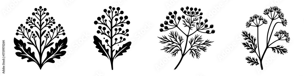 Fototapeta premium Botanical Illustration of Various Plant Species in Black and White.