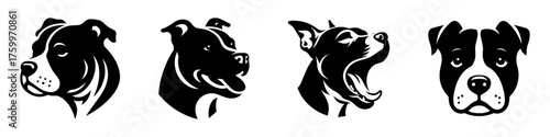 Dog portraits in black and white various angles and expressions.