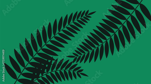 Elegant dark fern leaves against a vibrant green backdrop for a stylish natural design, perfect for adding a touch of modern botanical flair