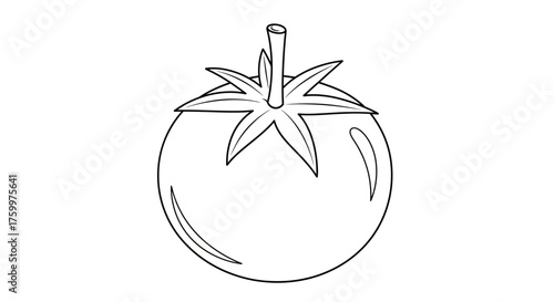 Outline Line Art Tomato Vegetable Fruit with Stem Cooking Icon