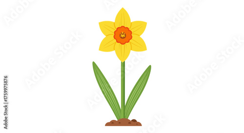 Vibrant Yellow Daffodil Flower with Green Stem and Leaves Illustration