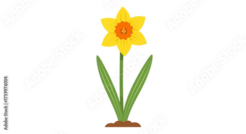 Yellow Daffodil Flower Icon: Spring, Narcissus, or Easter Bloom Symbol
