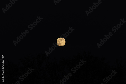ein gelblicher Mond Vollmond am Nachthimmel
