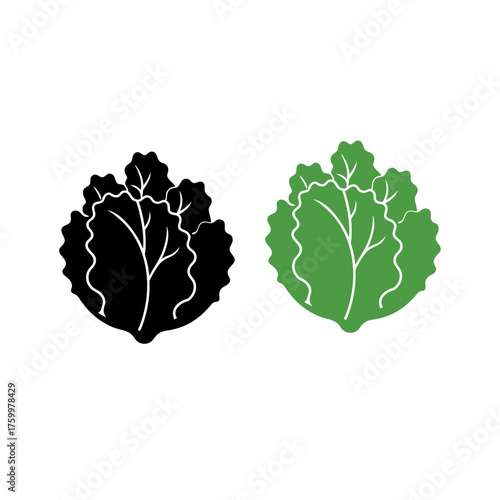 Kale Fruit Silhouette Vector Clipart On White Background