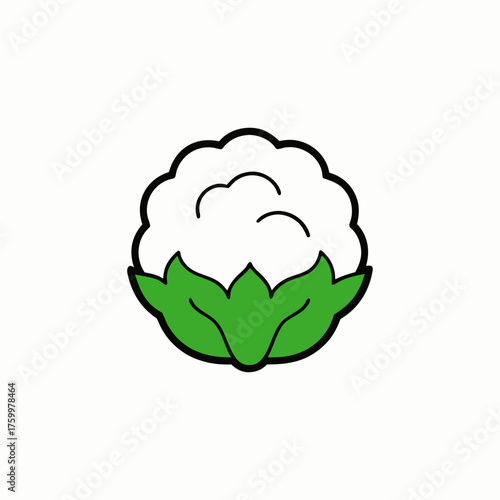 Minimalist Vector Illustration Of Cauliflower With Leaves