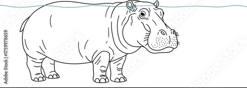 Hippopotamus in Water, Cartoon Illustration, Aquatic Animal