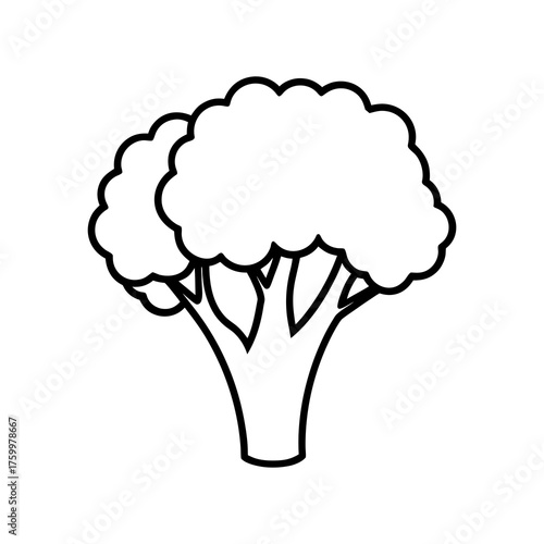 vector illustration of a broccoli