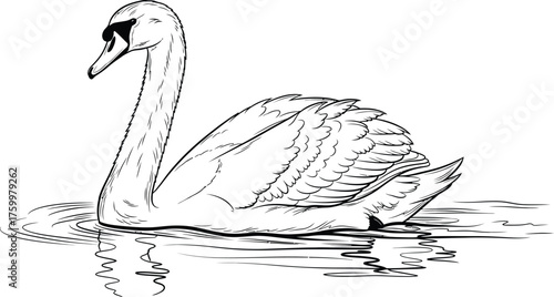 Elegant swan swimming peacefully on the water, line art style