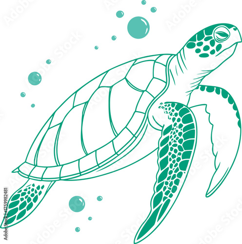 Elegant Sea Turtle Vector Illustration with Clean Line Art Design