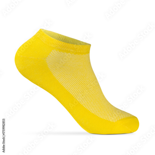 Catalog of socks for online store