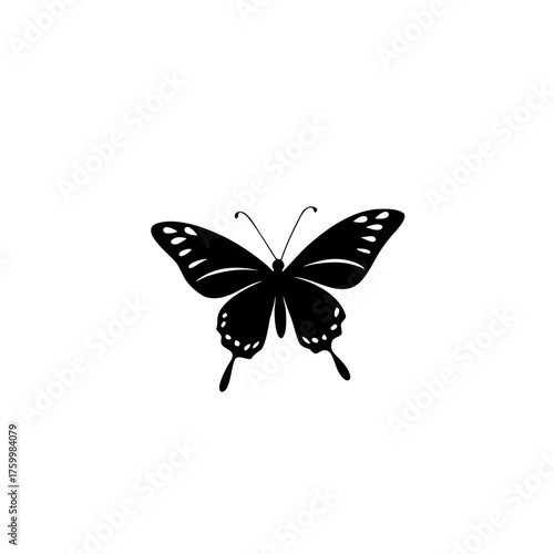 Black butterfly silhouette with white spots isolated on white background silhouette