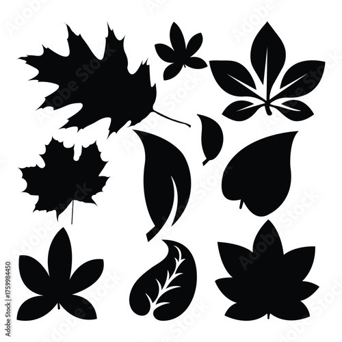 black leaves icons set.  Vector illustration of various tropical black leaves in flat design. black leaves vector set.     