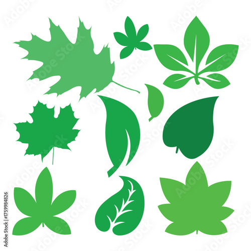 Green leaves icons set.  Vector illustration of various tropical green leaves in flat design. green leaves vector set.     