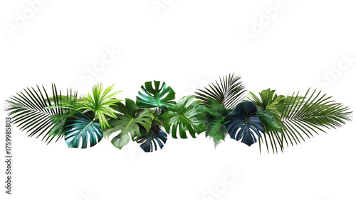 Fototapeta Naklejka Na Ścianę i Meble -  Leaves, spanning horizontally across a plain, light background. The cluster features a mix of different foliage types, primarily including large, split Monstera leaves , palm,jungle aesthetic.