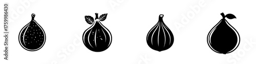 Silhouettes of various fig fruits displayed on a bright background showcasing their unique shapes and features