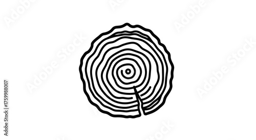 Circular Texture Depicting Organic Growth And Time Through Concentric Patterns