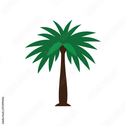 palmetto tree colorful vector illustration