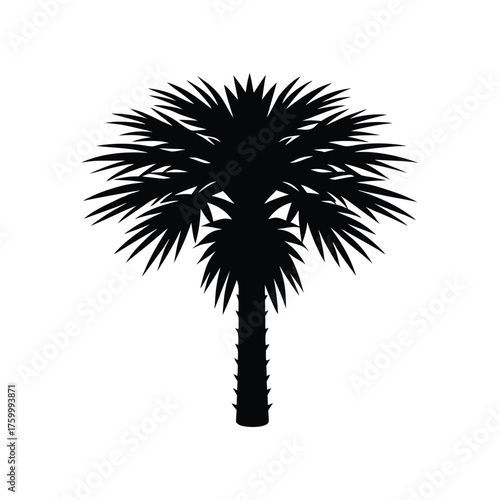 palmetto tree vector silhouette art illustration