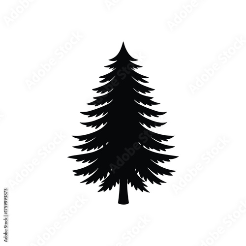 pine tree vector silhouette illustration