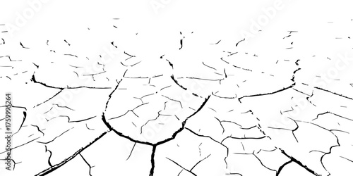 Cracked dry earth texture showing drought and soil erosion. High-contrast black and white cracked ground pattern ideal for backgrounds, climate change, and environmental design projects.
