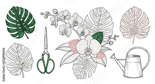 Elegant botanical vector elements with orchid arrangement, watering can, and scissors for luxury florist branding