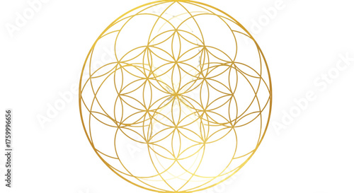 Golden Geometric Sacred Geometry Design Against a Dark Black Background