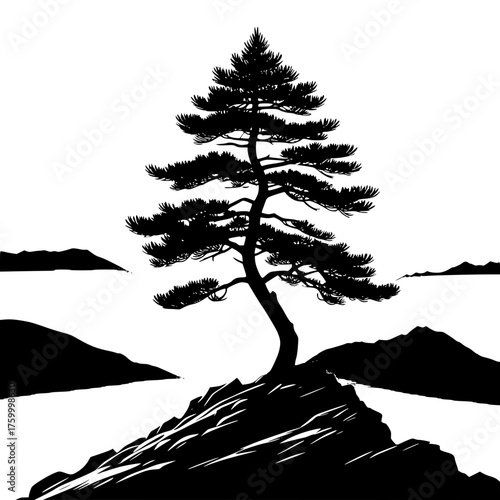 Black and white landscape with pine tree on a rock nature illustration silhouette