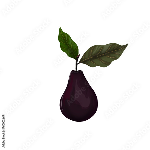 illustration of ripe avocado with leaves without background
