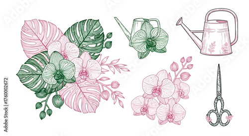 Elegant botanical line art featuring monstera leaves, orchids, watering can, and scissors in pink and green hues for a chic, modern floral aesthetic