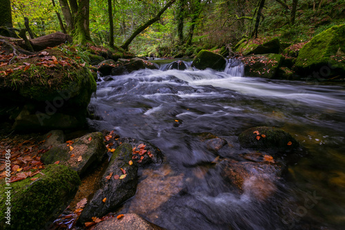 Cascading River Fowey
