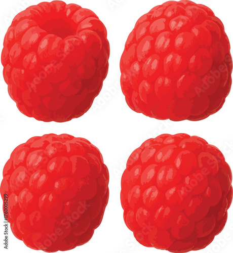 Four red raspberries on white background raspberry