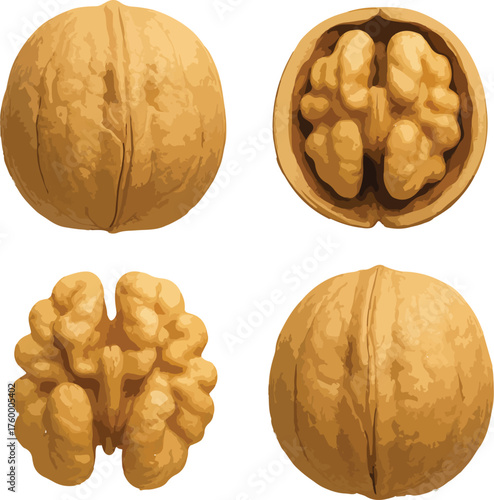 Four Walnuts Whole Halved And Shelled food
