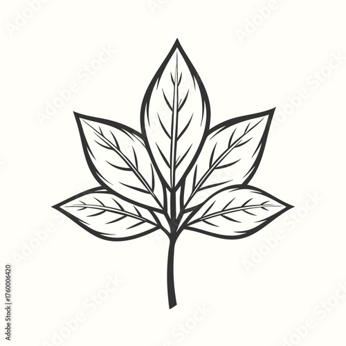 A striking monochrome sketch of a stylized leaf with sharp edges and bold veins is displayed