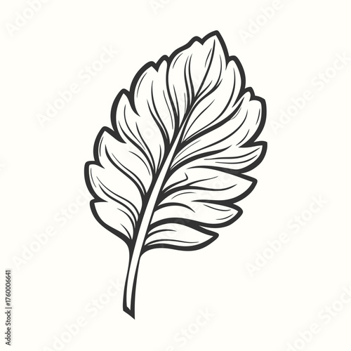 An isolated kale leaf illustration reveals organic texture with bold black outlines